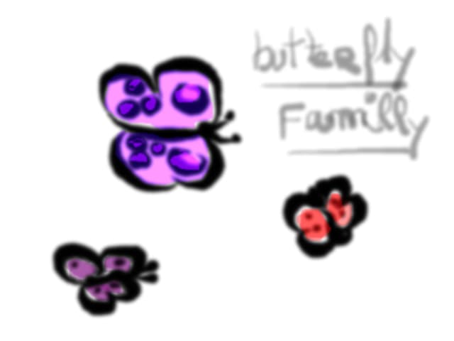 Butterfly familly