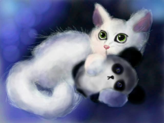 Kitty