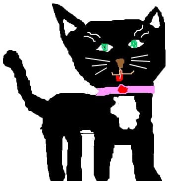 piscuta