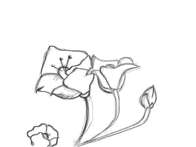 flori