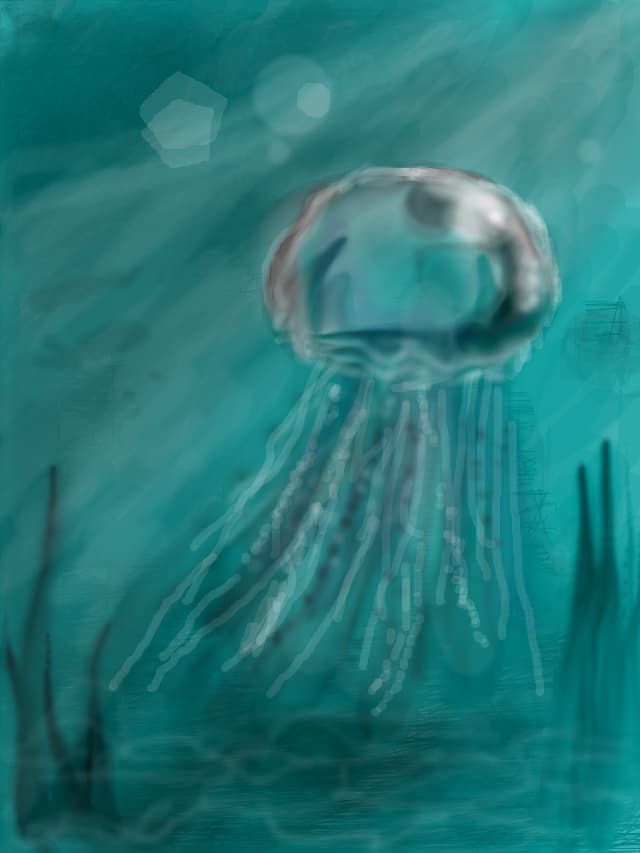 o meduza...