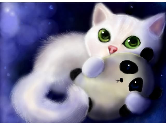 White cat