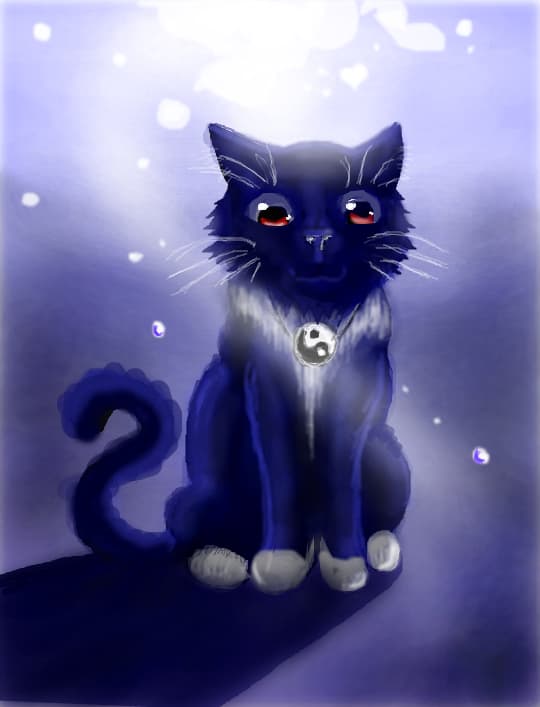 Miau