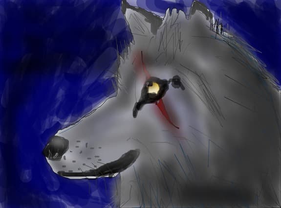 wolf