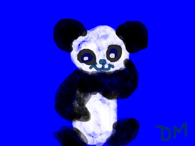 Little panda bear