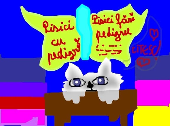 Pisicuta cu intelect