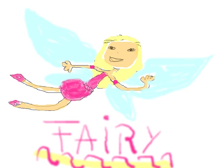 The FAIRY