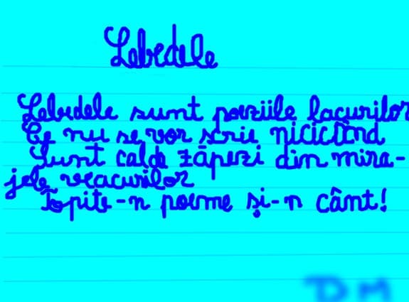 Lebedele-cine imi da comm are un desen dedicat