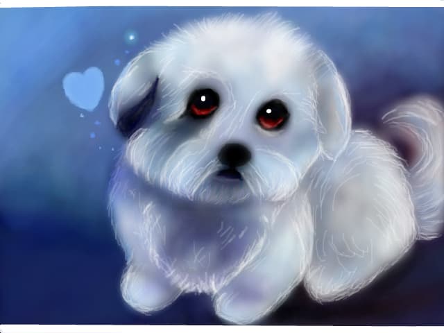 Puffy dog