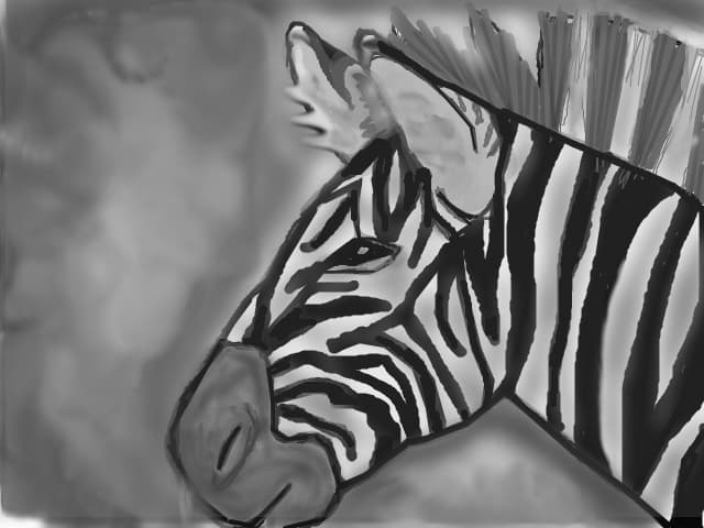 Zebra <3