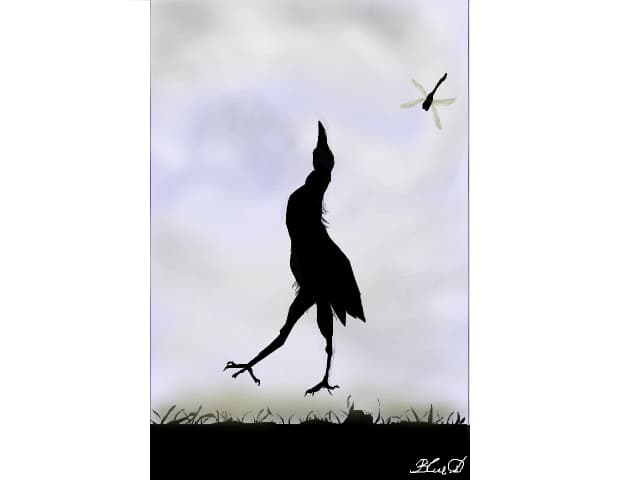 pasare