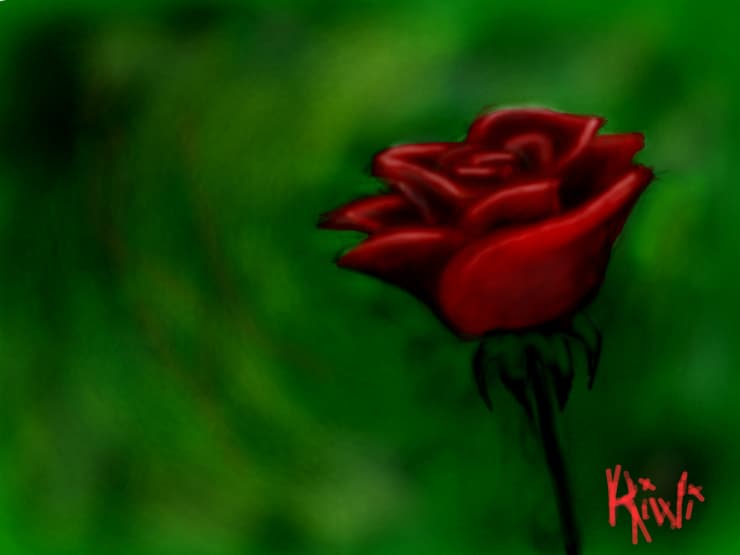 rose.