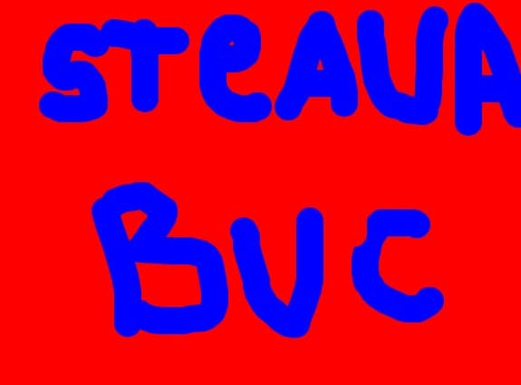 steaua buc