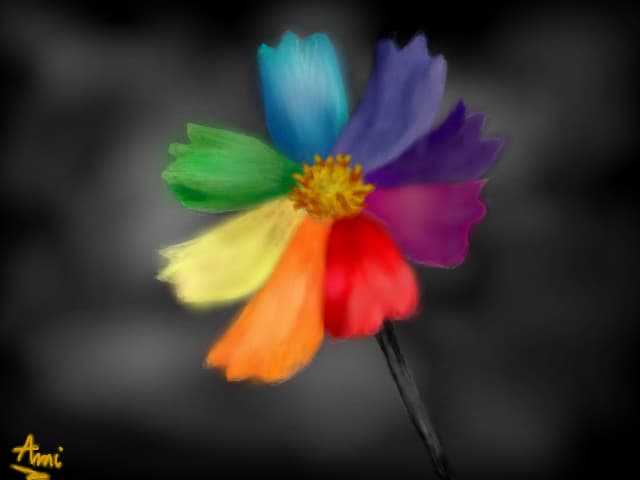 Rainbow Flower