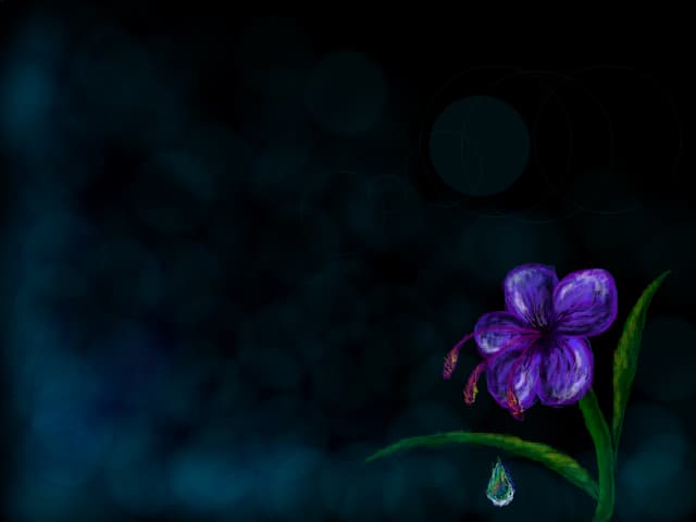 Ilusion