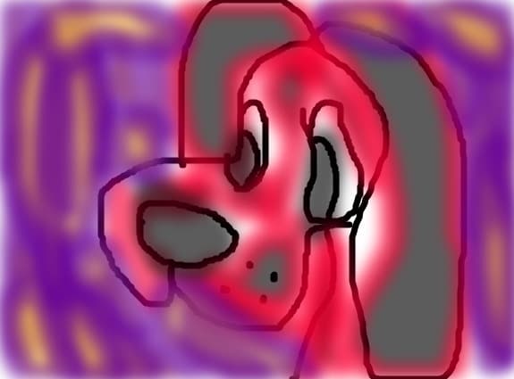 cute dog