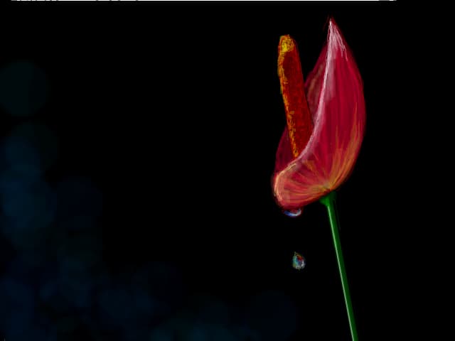 Ilusion