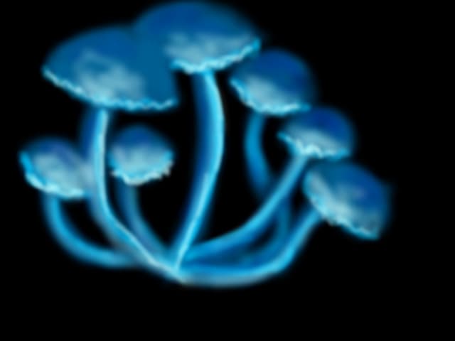 Mushrooms