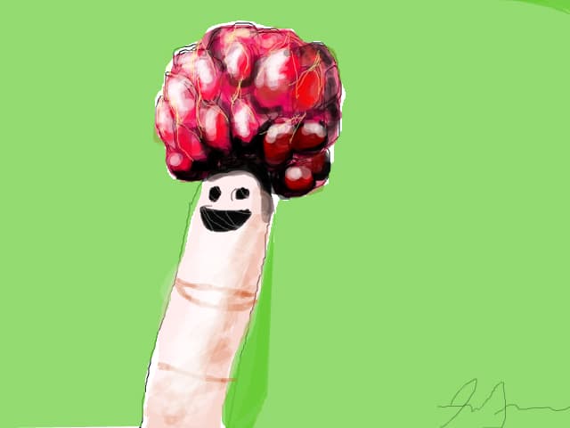 deget cu zmeura