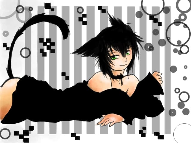cat