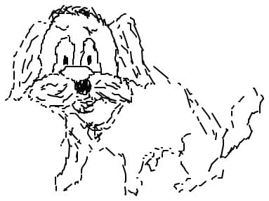 pufi