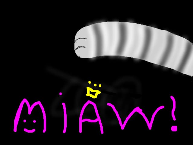 MIAW!!