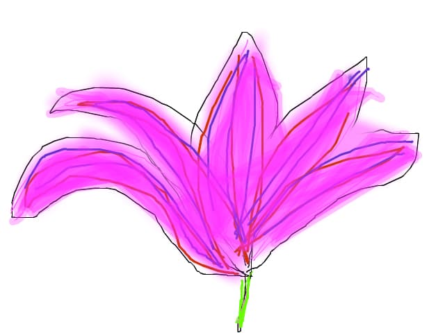 Ezeyc