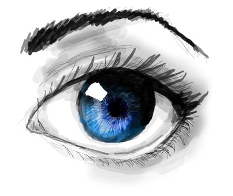 eye