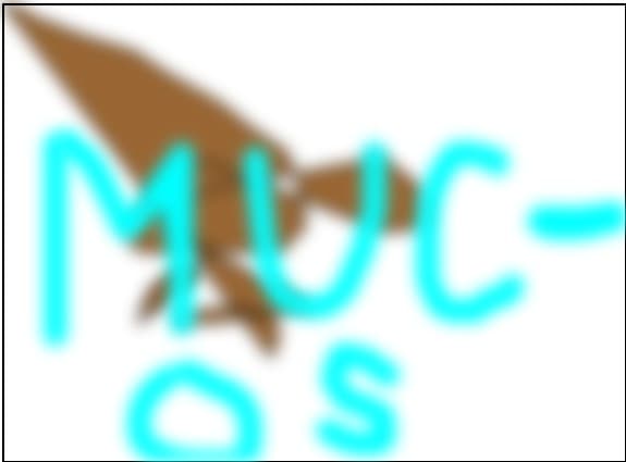 mucos