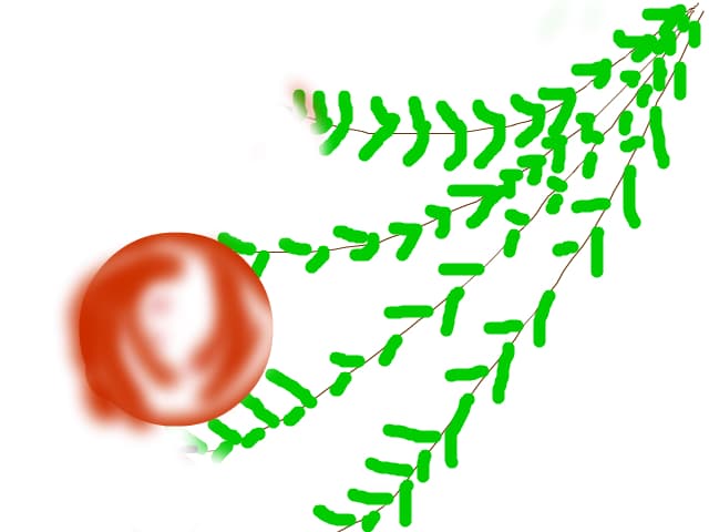 Ezeyc