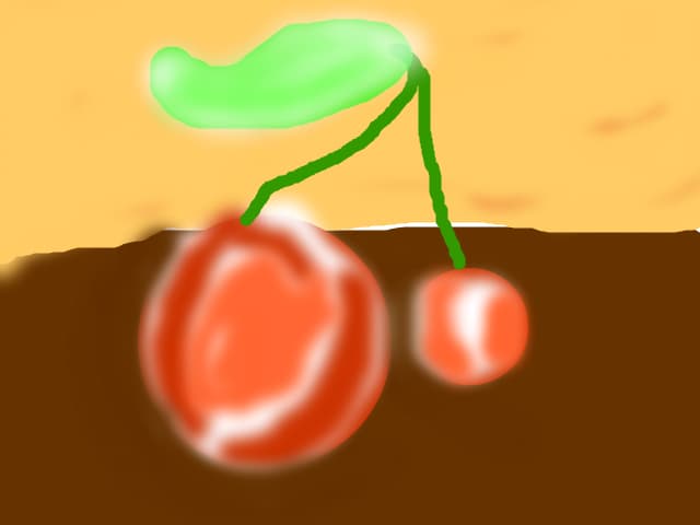 Ezeyc