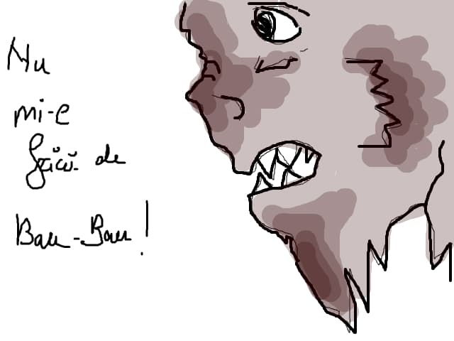 bau bau