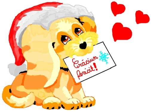 Catelus adorabil