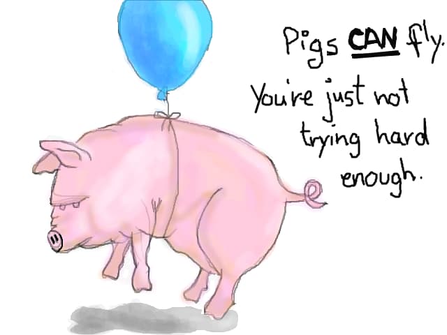 Pigs CAN fly.You\'re just not trying hard enough.