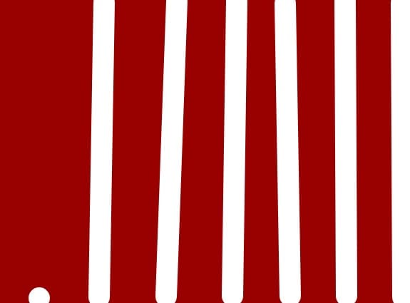 dungi zebra 2
