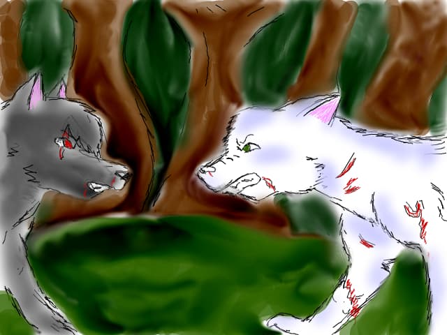 Two wolves