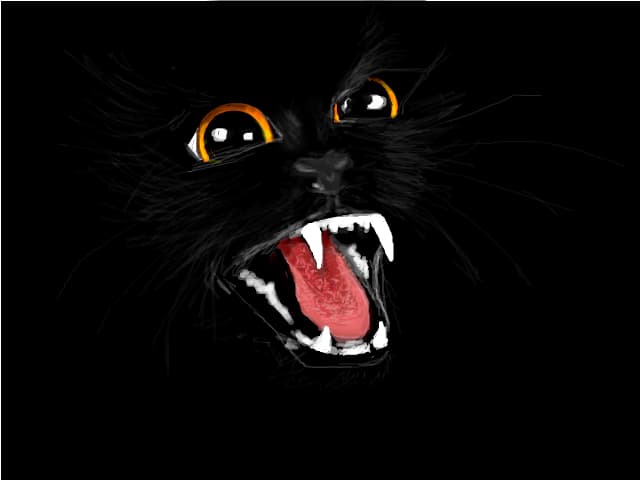 Blak Cat