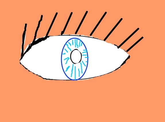 Ochi