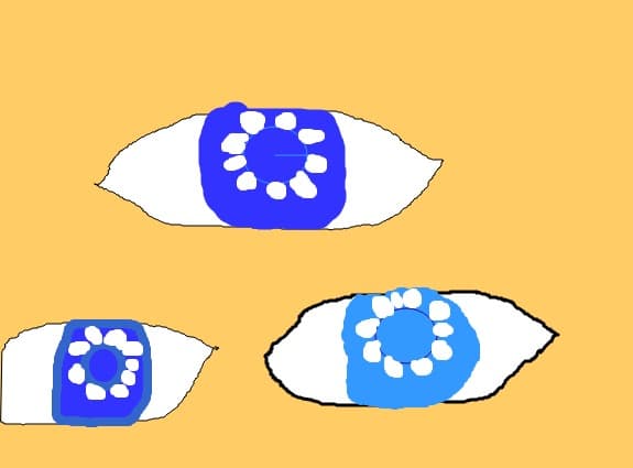 ochi