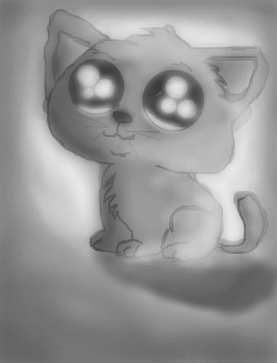 grey kitty