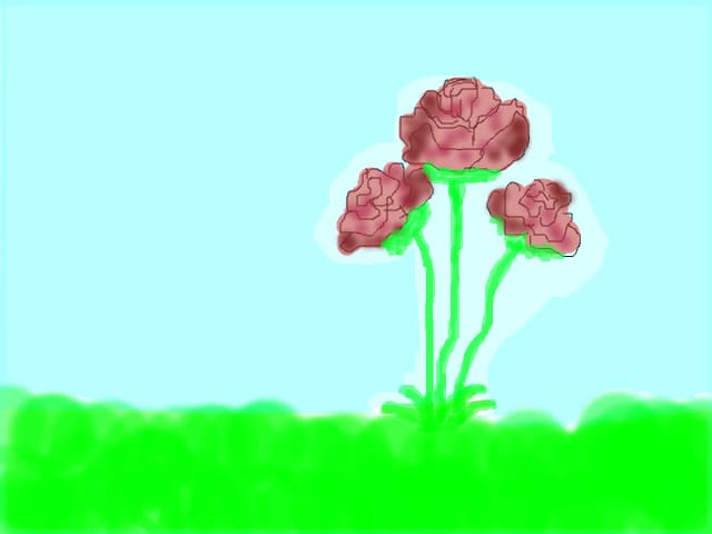 ros333.roseeey