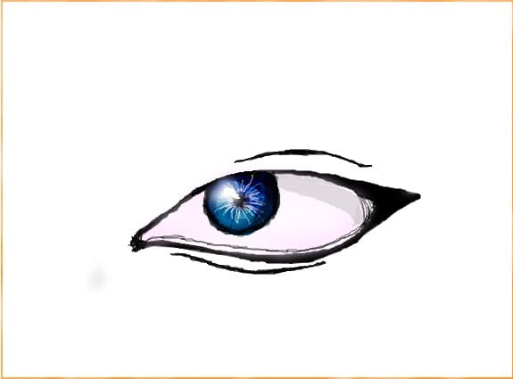 eye