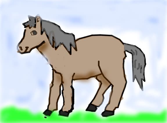 horse