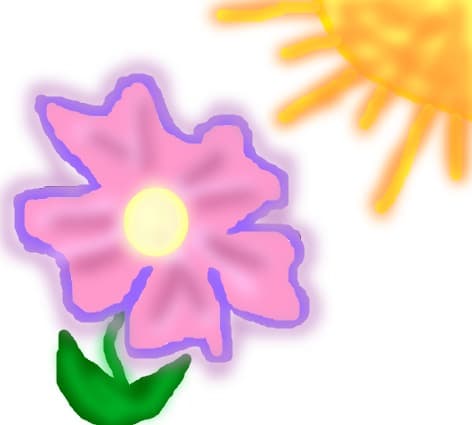 floricica roz-violet