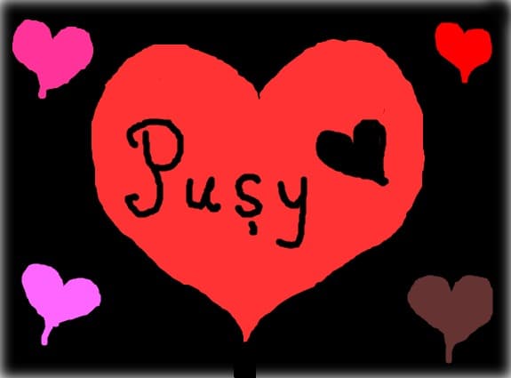 Pusy