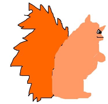 Veverita