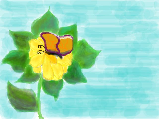 butterfly