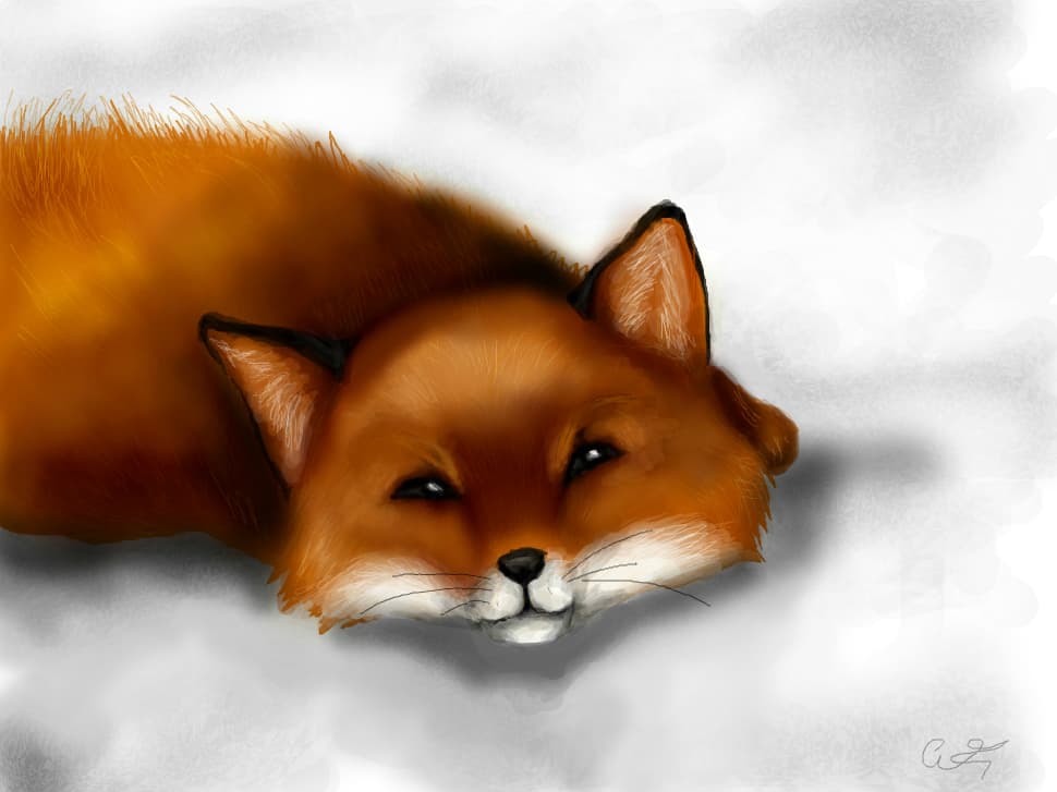 Foxyy~ invazieee ^^ 4 all ~~ HAPPY NEW YEAR!
