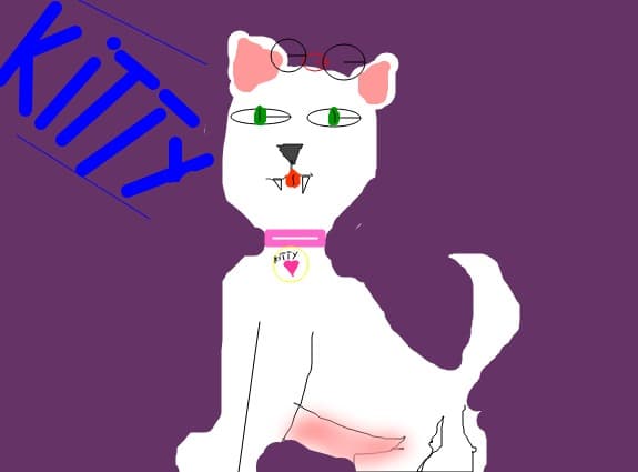Kitty