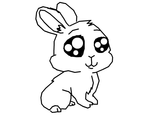 bunny